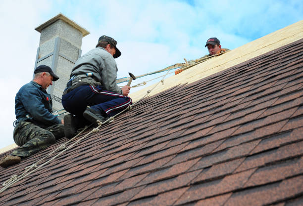 Best Roof Gutter Cleaning  in Mountain View Acres, CA